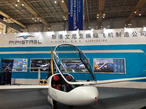 高技術與特色產品亮相中東歐博覽會，推動國際技術開發合作